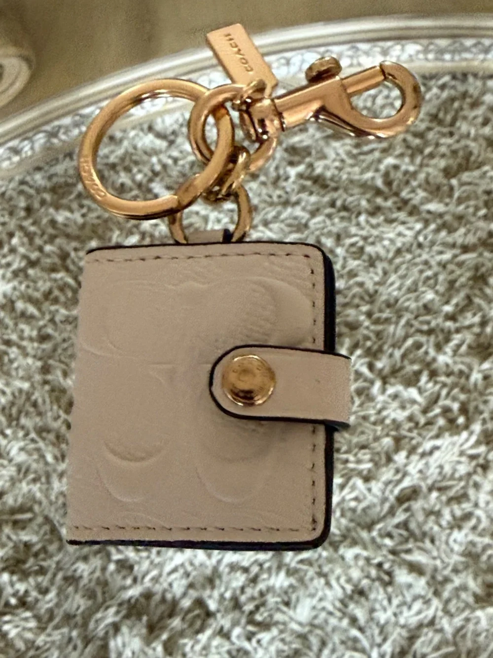 Coach Signature C Photo Book Bag Charm Keychain in Signature Canvas Chalk